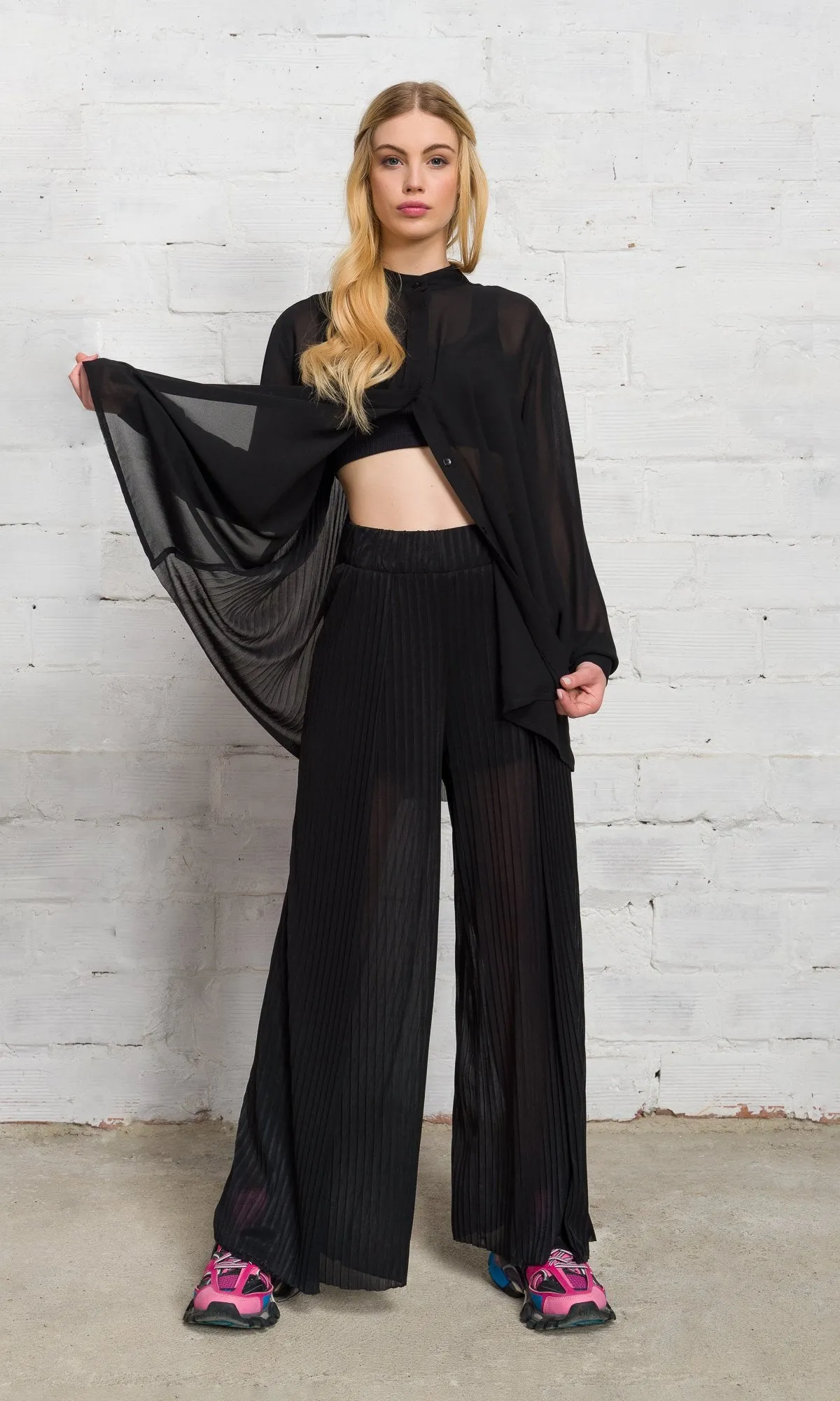 Two-piece Set of Sheer Pleated Pants