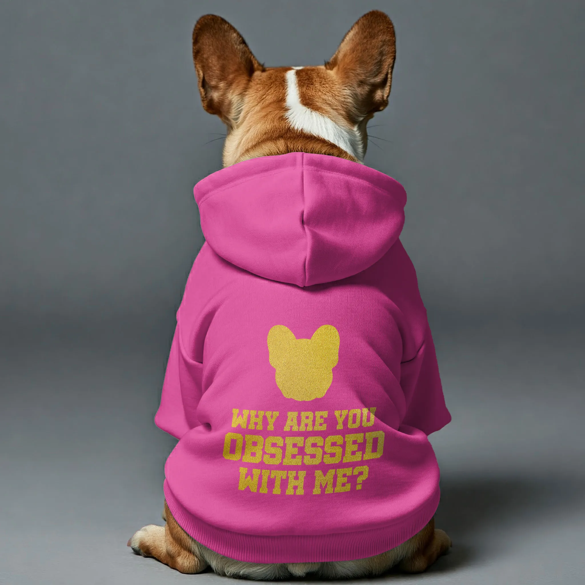 Why are you obsessed with me? - Personalized French Bulldog Hoodies with Funny Quotes – Stylish, Cozy, and Premium 100% Cotton